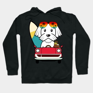 Cute white dog driving to the beach Hoodie